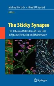 The Sticky Synapse by Michael Hortsch