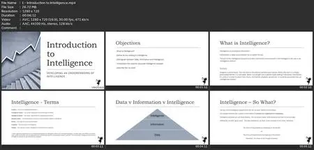 Intelligence Analysis (Comprehensive - Levels 1, 2 And 3)