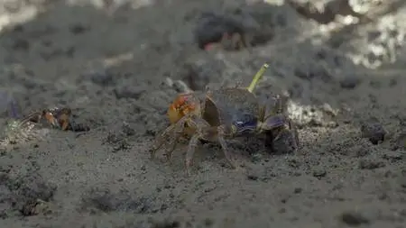 Smithsonian Earth - Waterworld Africa: Series 1 (2017)
