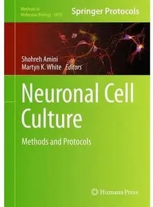 Neuronal Cell Culture: Methods and Protocols [Repost]