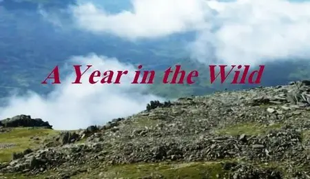 BBC - A Year in the Wild (2012)