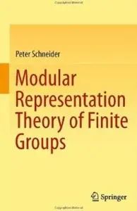 Modular Representation Theory of Finite Groups [Repost]