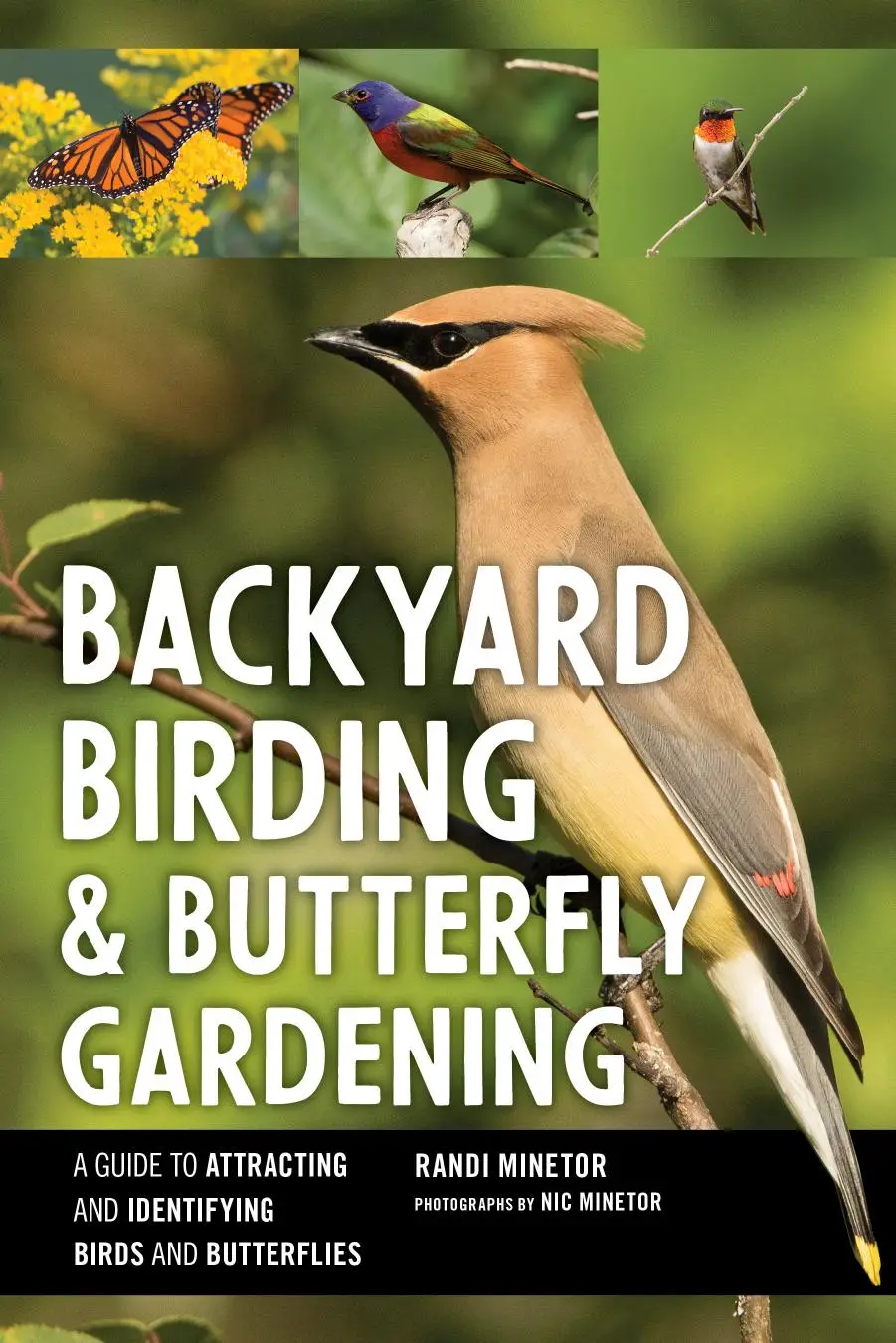Backyard Birding and Butterfly Gardening / AvaxHome