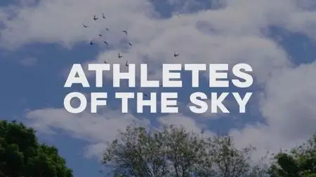 BBC We Are England - Athletes of the Sky (2022)