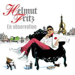 Helmut Fritz - En Observation (2009)