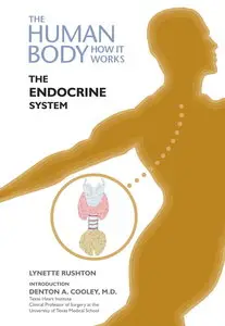 The Endocrine System (The Human Body-How It Works) (repost)