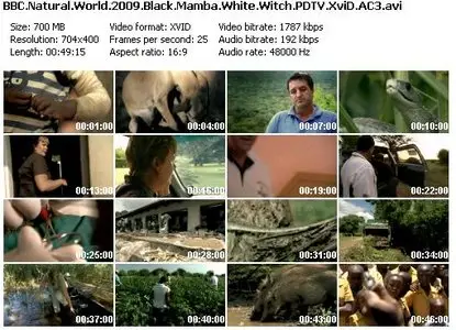 BBC Natural World - Black Mamba, White Witch (2009) [Eng Sub]