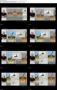 Photoshop Tutorial DVD - Retouching Workflow