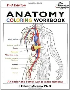 Anatomy Coloring Workbook: Bk. 2