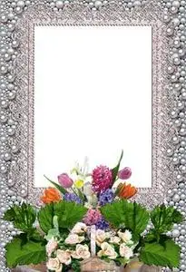 Pearly Frame for Photoshop