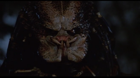 Predator