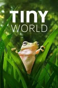 Tiny World S01E02