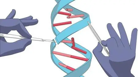 Basics of CRISPR/Cas9 Technology