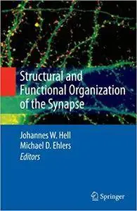 Structural and Functional Organization of the Synapse (Repost)