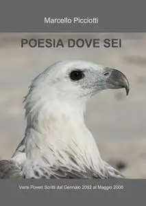 POESIA DOVE SEI