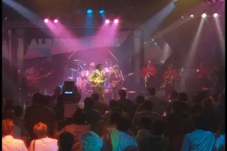 Albert Collins - In Concert (2004)