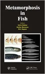 Metamorphosis in Fish (repost)