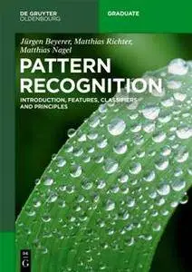 Pattern Recognition : Introduction, Features, Classifiers and Principles