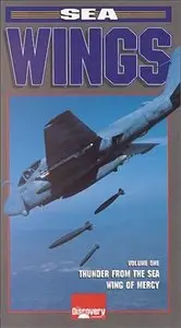 DC Wings - Sea Wings: Dauphine - Wing of Mercy (1994)