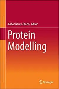 Protein Modelling (Repost)
