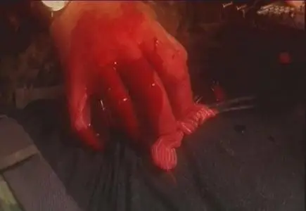 The Planet (2006) DVDRip