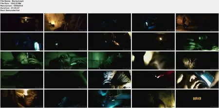 Buried (2010)