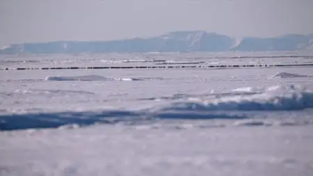 CBC - The Nature of Things: Under Thin Ice (2019)