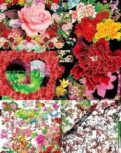 Beautiful Flowers and Branches of Trees PSD