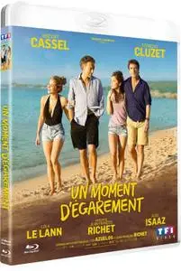 One Wild Moment / Un moment d'égarement (2015)