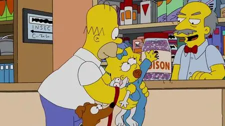 Die Simpsons S20E13