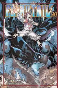 Fairy Tail v30 (2013)