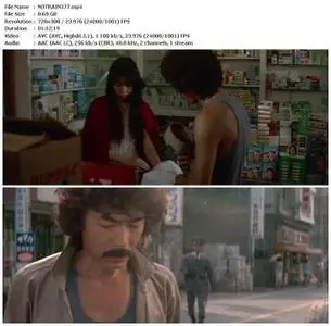 Secret Honeymoon: Rape Train (1977)