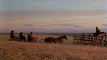 Days of Heaven (1978) - (The Criterion Collection - #409) [DVD9] [2007]