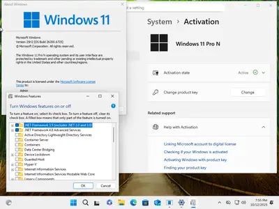 Windows 11 Aio 16in1 25H2 Build 26200.6725 (No TPM Required) With Office 2024 Pro Plus Multilingual Preactivated