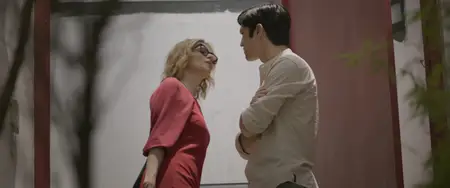 Meu Álbum de Amores (2021)