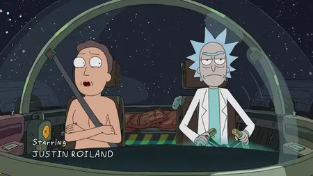 Rick and Morty S03E05