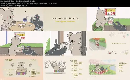 Koala'S Diary - S01E29