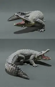 American Alligator Attack - 3D Print Model