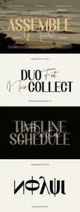 Assemble Niche - Duo Font Combination 7NWKNS7