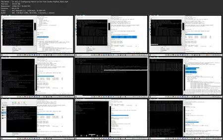 Postgres Cluster: Master Patroni-Managed Clusters