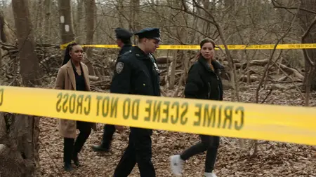 Law & Order: Special Victims Unit S24E21