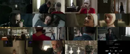 Shelter (2017)
