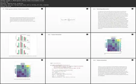 Interpretable AI, Video Edition