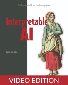 Interpretable AI, Video Edition