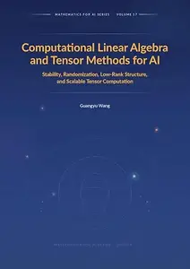 Computational Linear Algebra and Tensor Methods for AI: Stability, Randomization, Low-Rank Structure, and Scalable Tensor