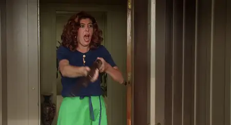 Dazed and Confused (1993) [The Criterion Collection]