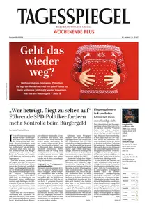 Der Tagesspiegel - 29 Dezember 2024