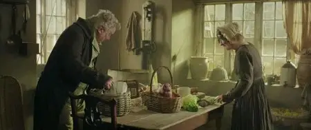 Mr. Turner (2014)