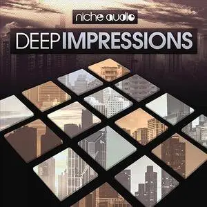 Niche audio Deep Impressions for Ableton v9.6.2 ALP