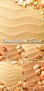 Stock Photo - Seashells & Sand